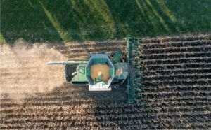 Study: Residents near vineyards more exposed to pesticides